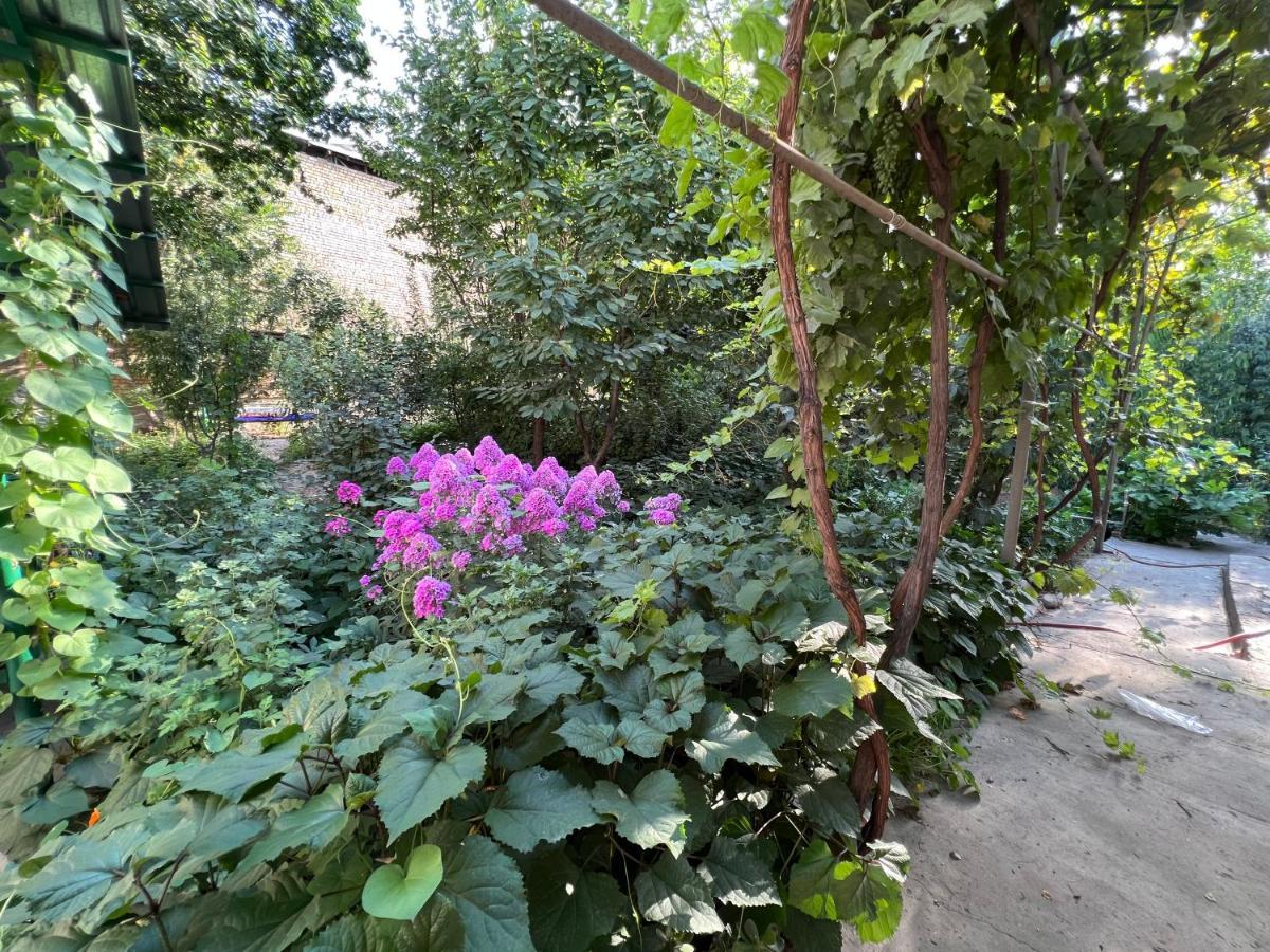 Lovely Home Osh Dış mekan fotoğraf