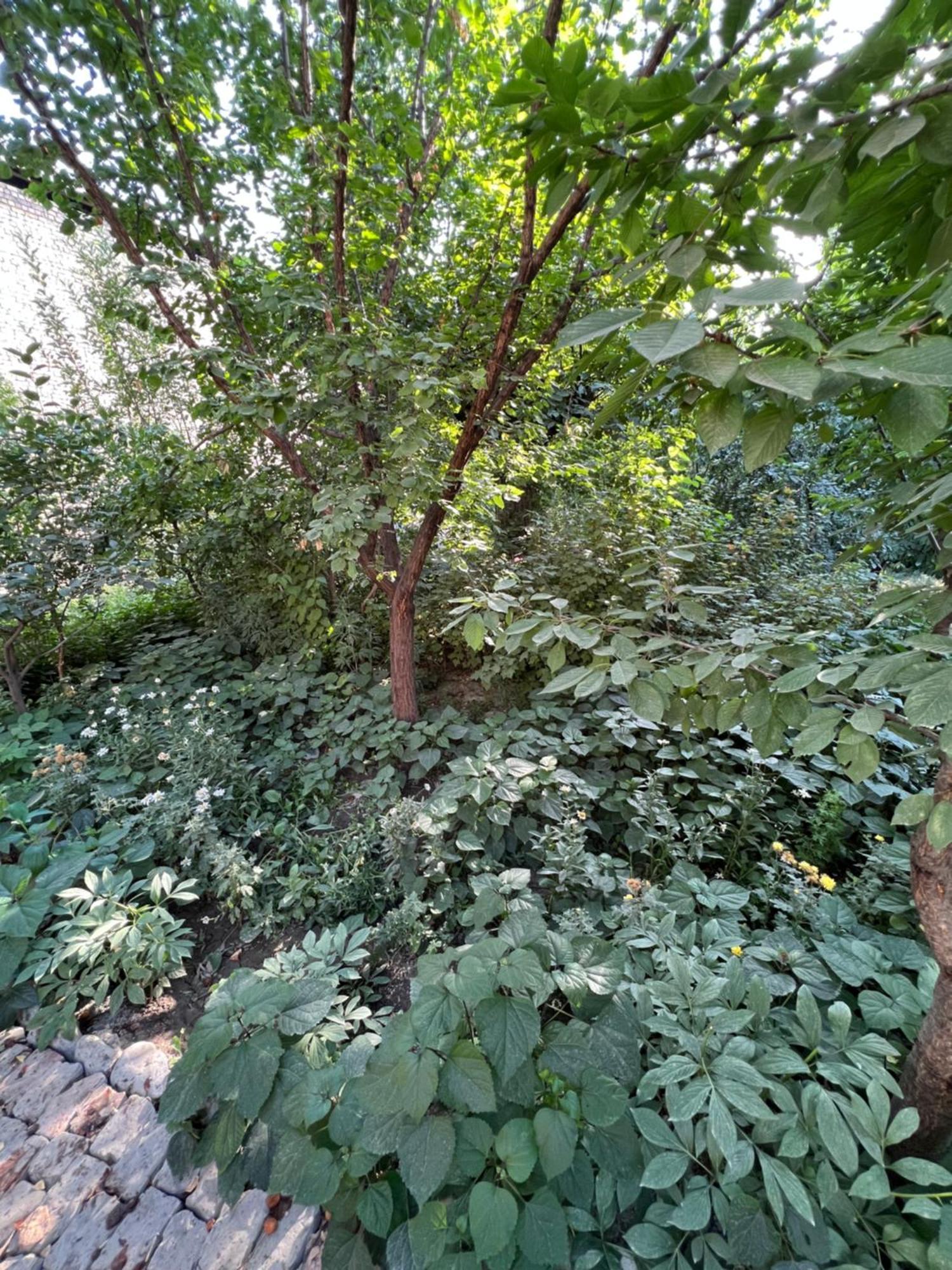 Lovely Home Osh Dış mekan fotoğraf